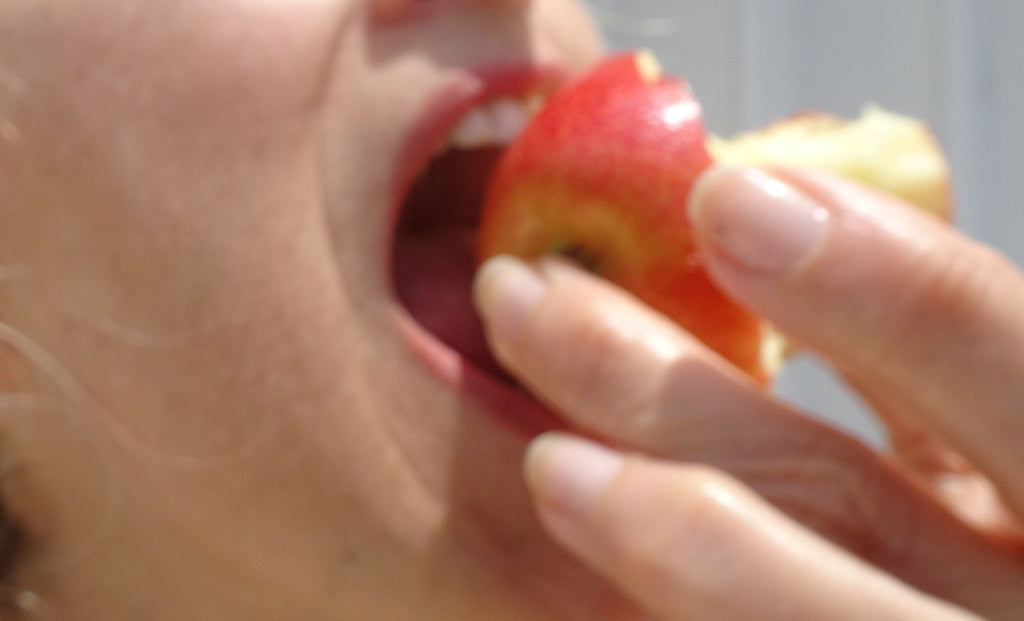 Stomatognathic System.