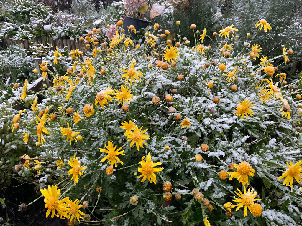 The most popular questions about facial muscles and sagging facial skin.