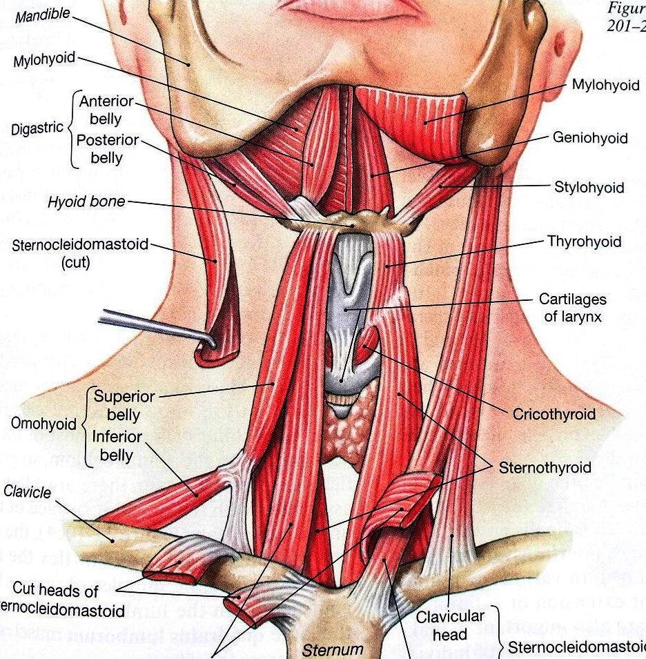 Economic and Survival Burden of Dysphagia among Inpatients in the United States
