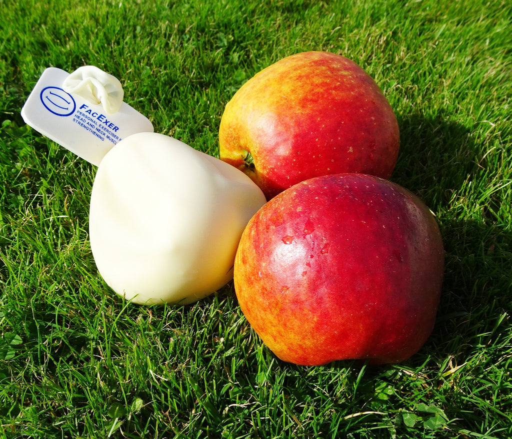 Use it Or Lose It. Exercises with FacExer.