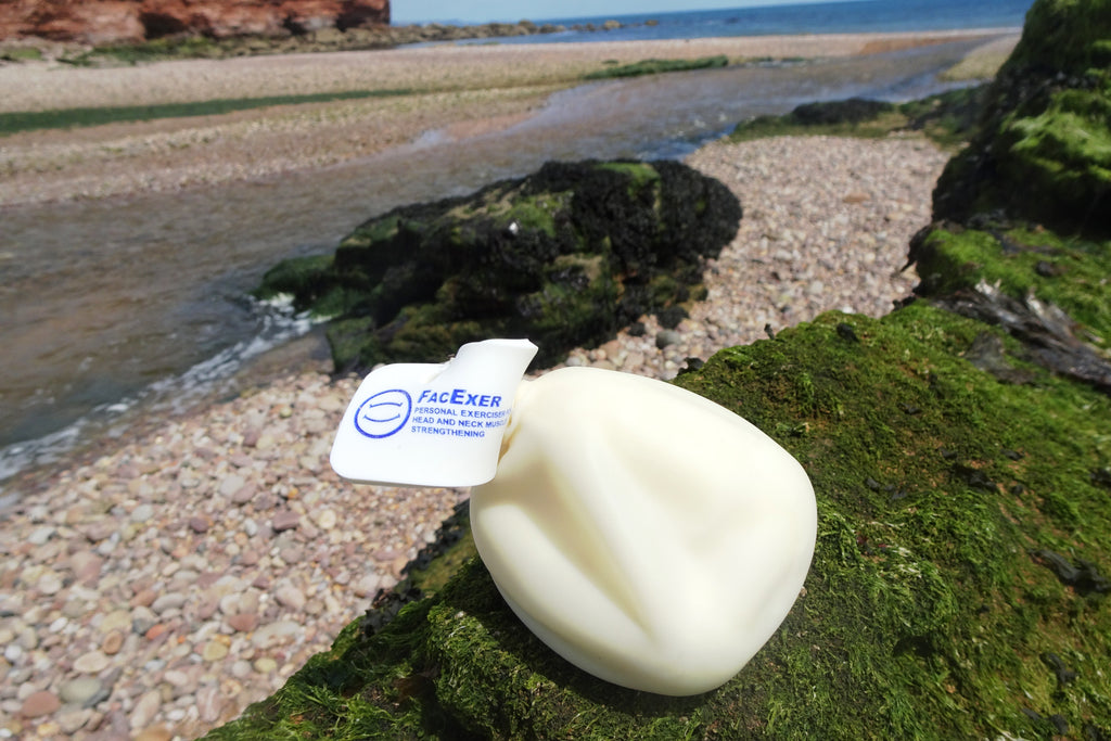 Why FacExer And How It Works For Everyone.