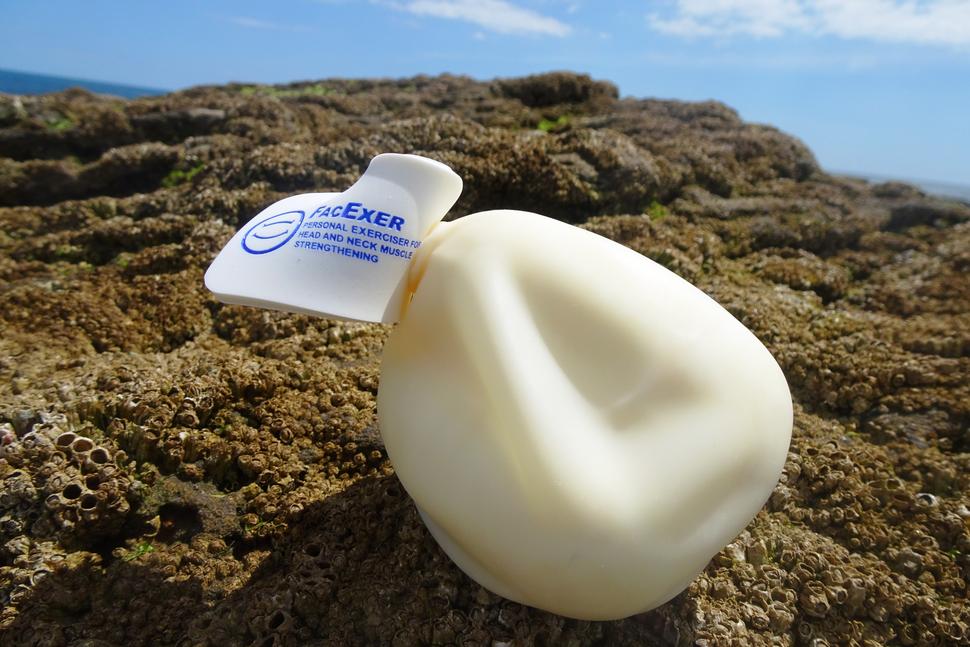 method of exercising with FacExer