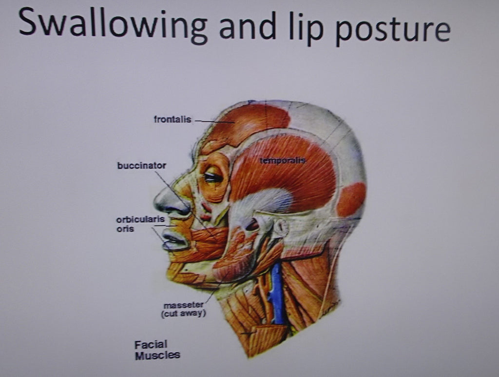 How Best To Achieve Forward Facial Growth By Prof John Mew.
